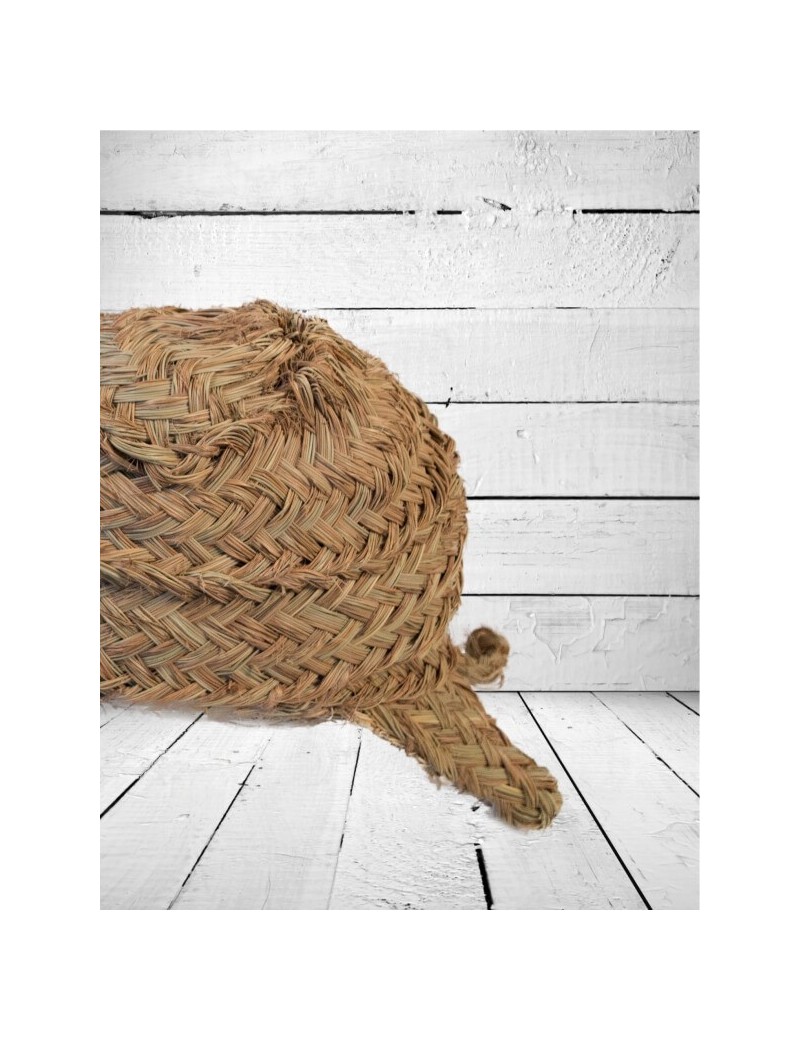 Tortuga esparto ecofriendly natural | Salotto