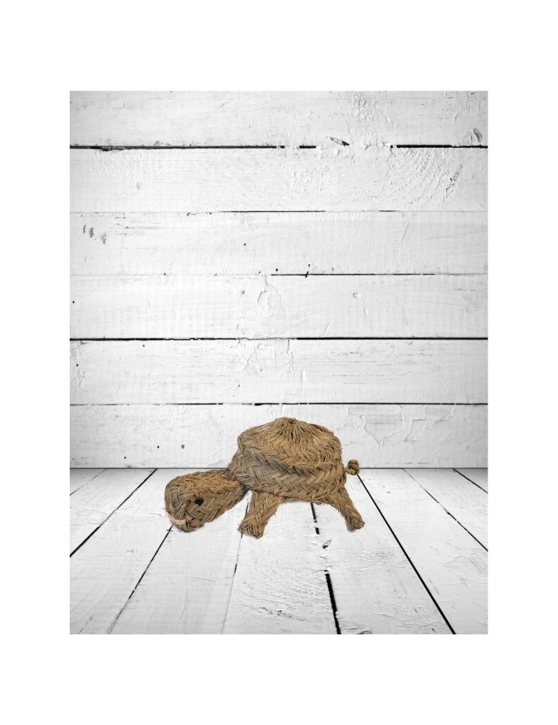 Ökofreundliche natürliche Espartogras-Schildkröte | Salotto