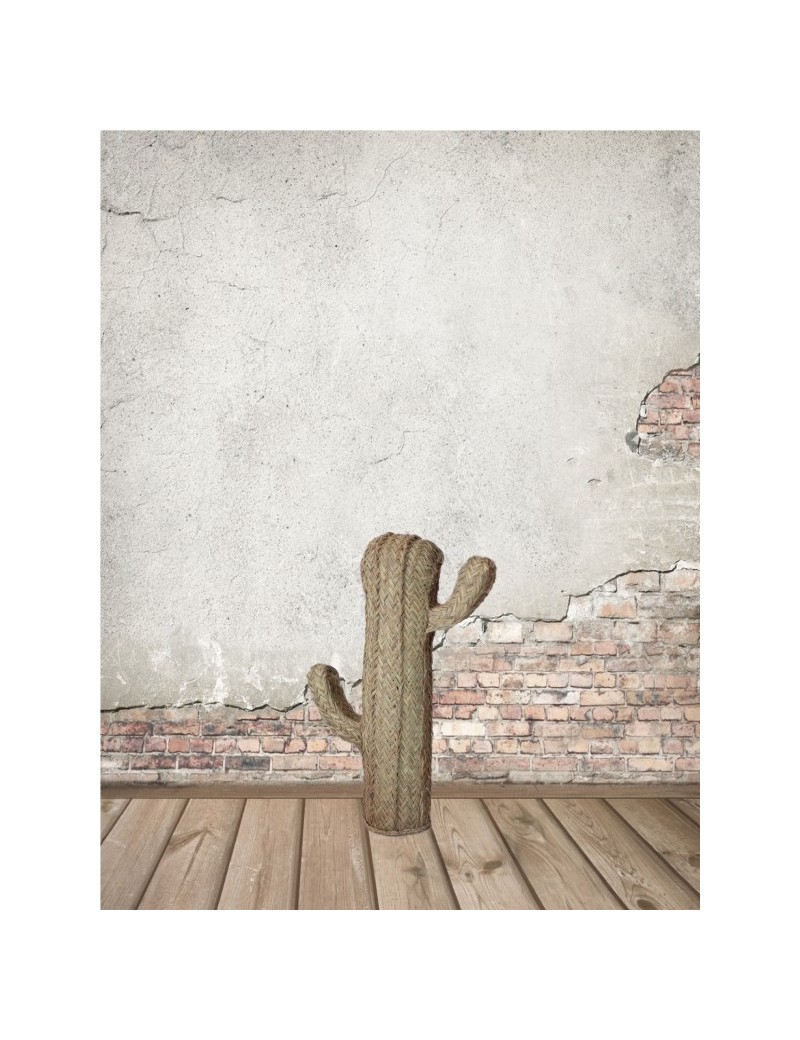 Cactus esparto ecofriendly natural | Salotto