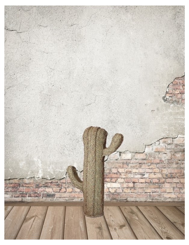 Cactus esparto ecofriendly natural | Salotto