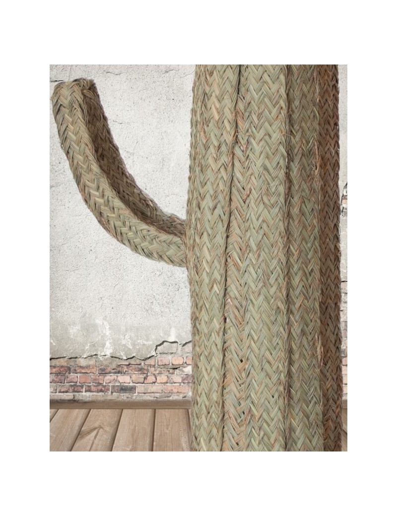 Cactus esparto ecofriendly natural | Salotto