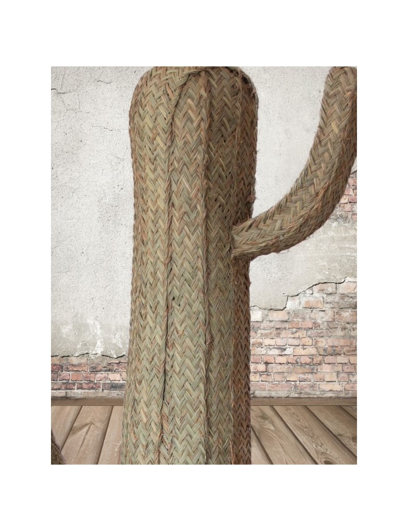 Eco-friendly natural esparto cactus | Living room