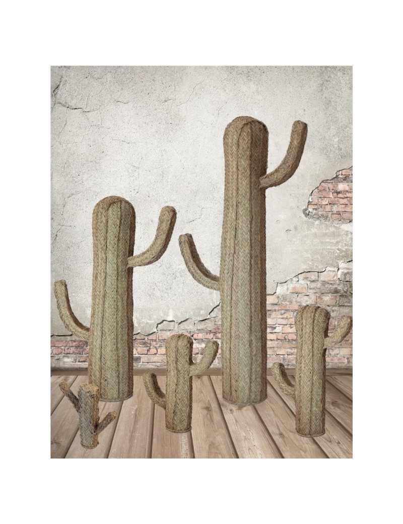 Cactus esparto ecofriendly natural | Salotto
