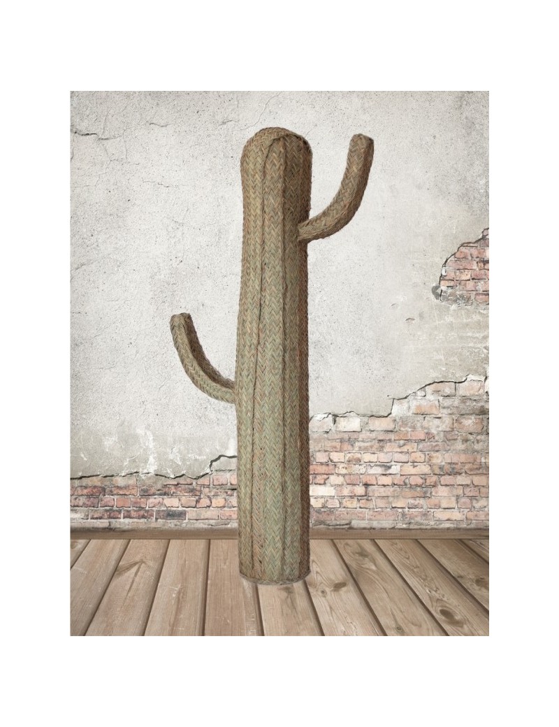 Cactus esparto ecofriendly natural | Salotto