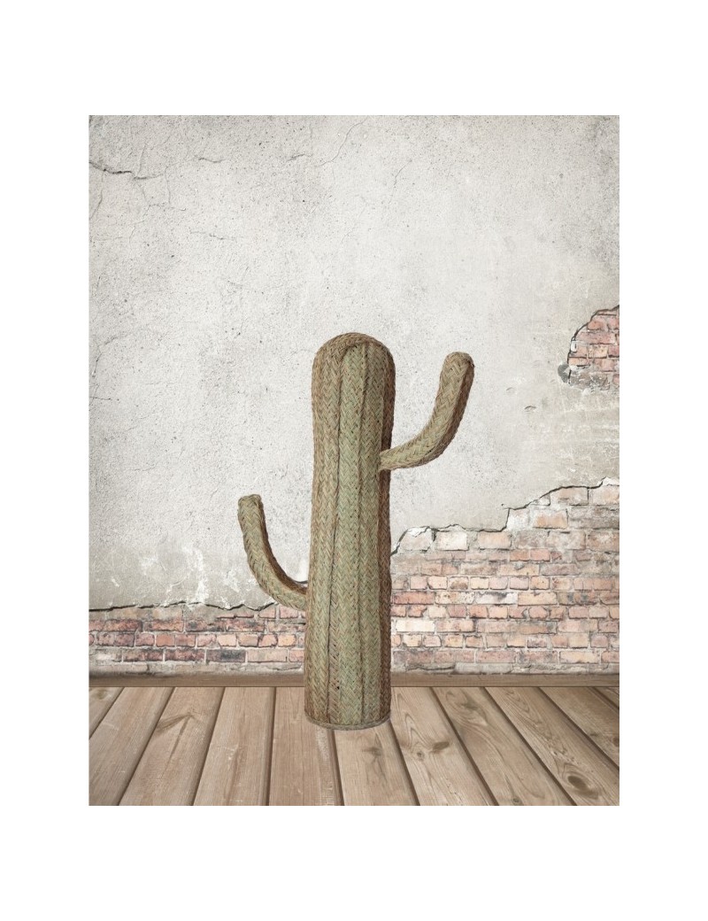 Cactus esparto ecofriendly natural | Salotto