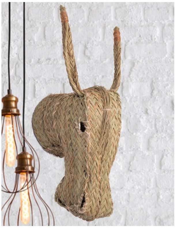 Tête d'âne sparte éco-responsable naturel | Salotto