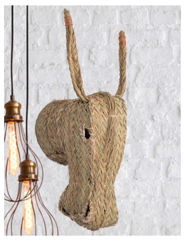 Espartogras ökofreundlicher natürlicher Eselskopf | Salotto