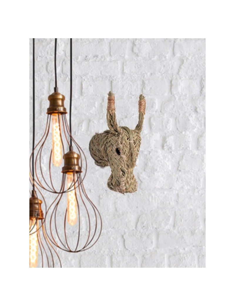 Testa d'asino sparto eco-friendly naturale | Salotto