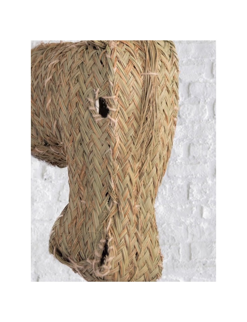 Testa d'asino sparto eco-friendly naturale | Salotto