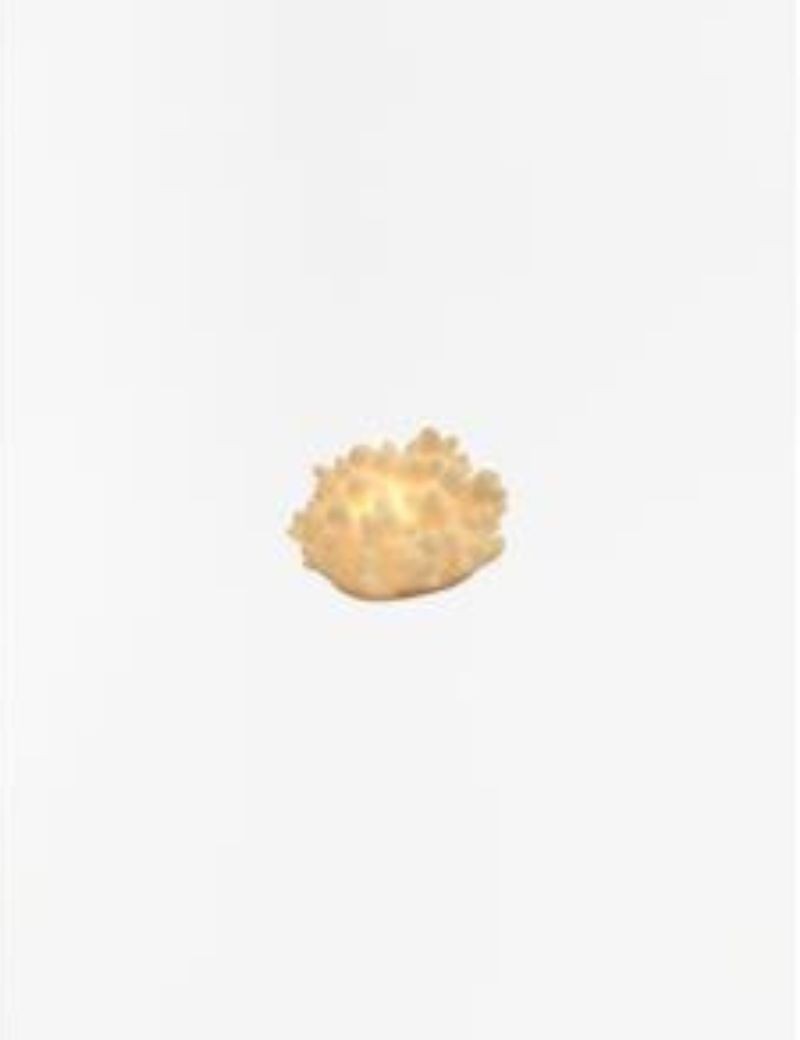 LÁMPARA CORAL A PILAS