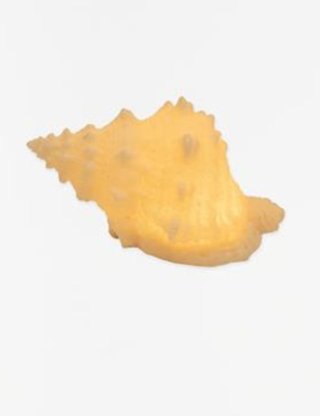 Lampe coquille à piles, blanc | Salotto