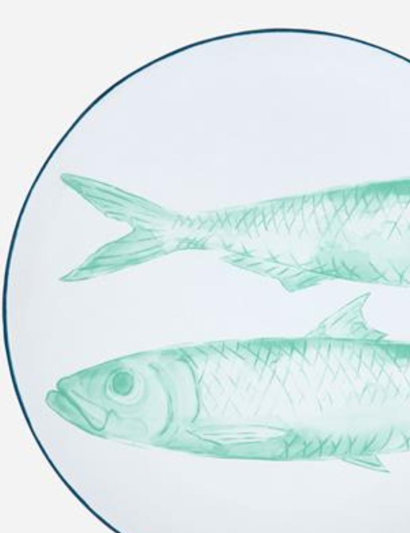 PLATO GRANDE PECES