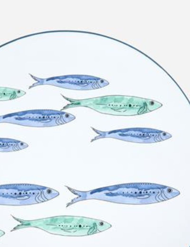 PLATO GRANDE BANCO DE PECES