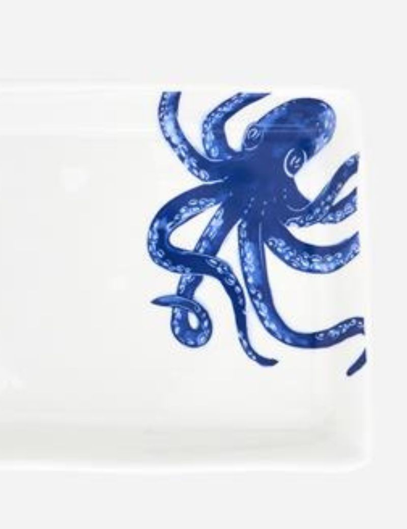 PLATO PULPO