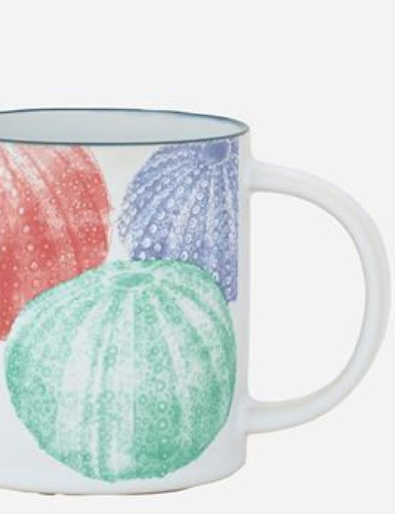 TAZA ERIZOS DE MAR