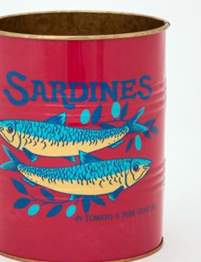 TIESTOS LATAS DE METAL PECES