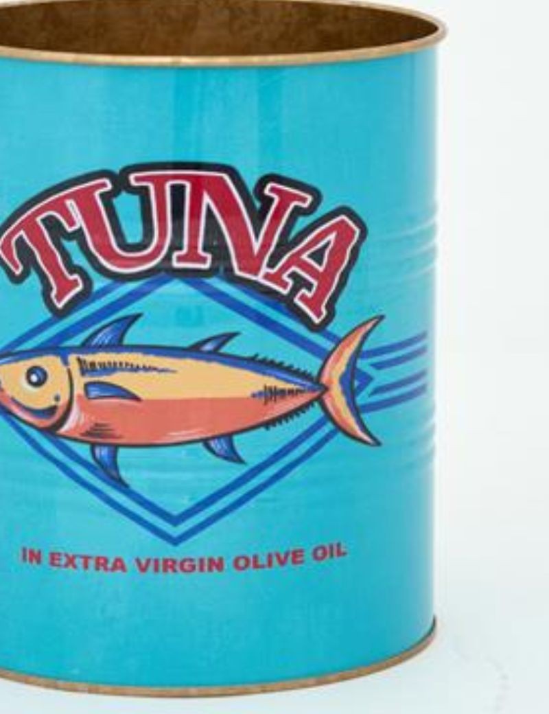 TIESTOS LATAS DE METAL PECES