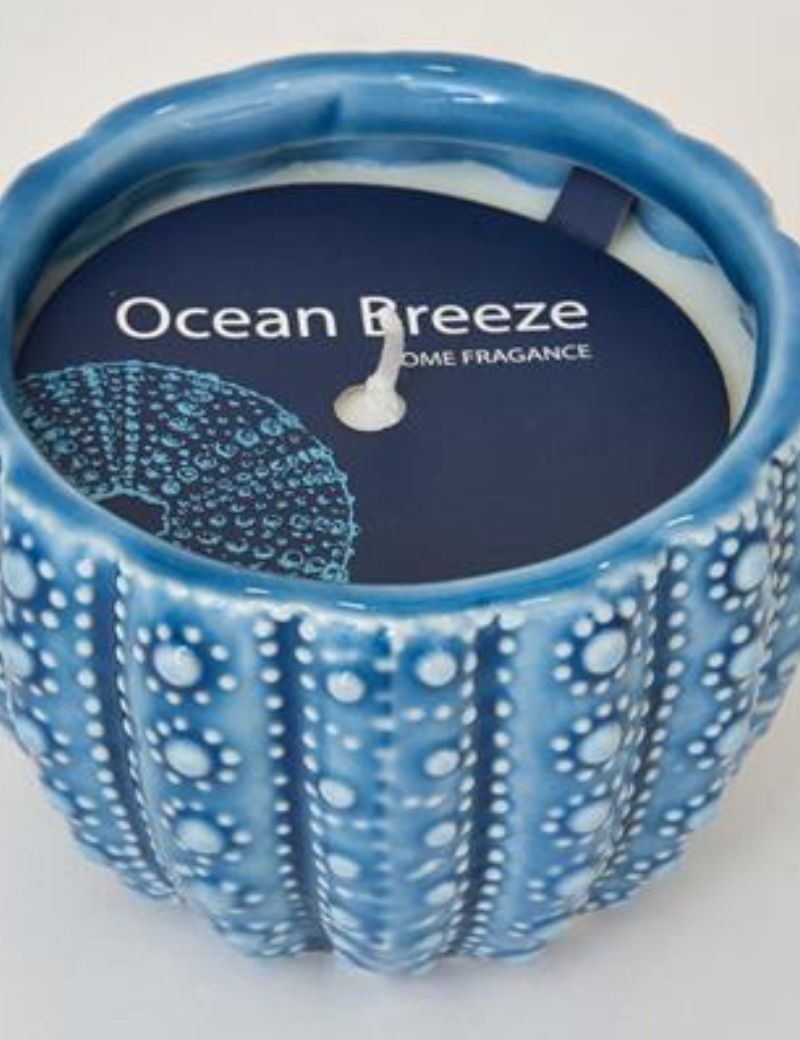 VELA DE CERÁMICA ERIZO DE MAR